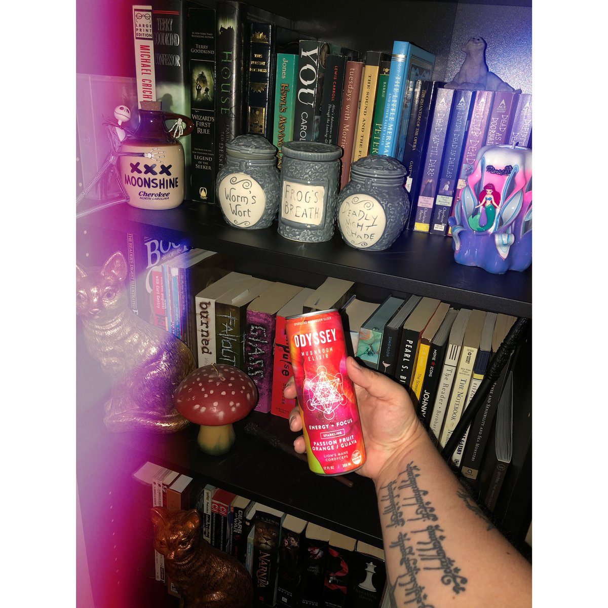 LynzVICIOUS's tweet photo. 🌈 Focus on ✨YOUR✨ #wellness today! Elevate #focus & #energy with #mushrooms 🍄
@OdysseyElixir provides amazing energy, focus, & more 🍄
☀️ Check out @GoodLifeAlbany today and snag some for yourself! #BeWell #goodlifealbany #goodlifewellness 🤘🏻
#OdysseyElixir https://t.co/5k626oMdOH