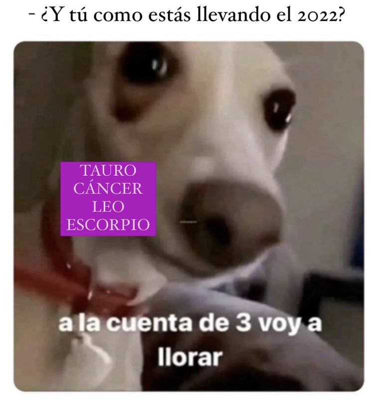 horoscoponegro's tweet photo. 😂😂😂 https://t.co/NUHKHxrkRm
