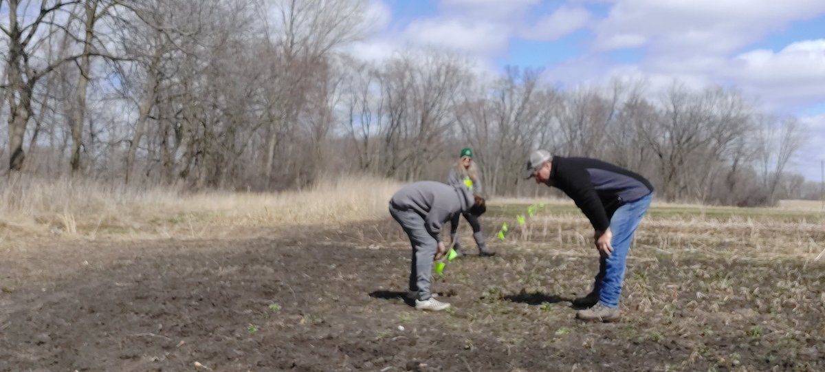 obrionag's tweet photo. It's good to have help setting up my research and education plots. #teamgro #deer #foodplots #wildlife https://t.co/0BcryYL9o6