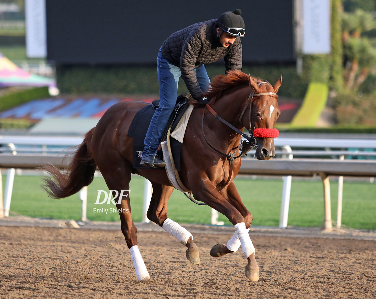 Daily Racing Form on Twitter "Slow Down Andy out of Kentucky Derby
