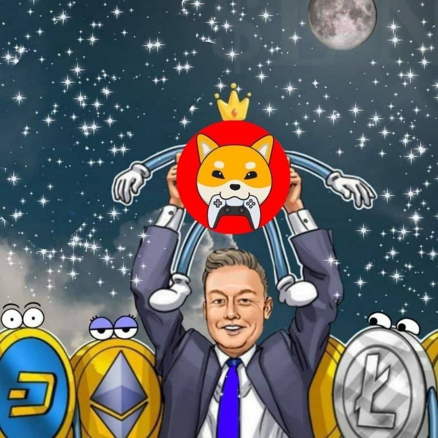 Vipershib's tweet photo. @elonmusk https://t.co/o3wQudveER