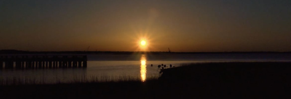 ChuckTownDaily's tweet photo. TIMELAPSE OF THE CHARLESTON SUNRISE OVER THE CHARLESTON HARBOR – STUNNING! - Charleston Daily - https://t.co/xaGXGr4ctH
#sunrise #chswx #charlestonsc #charlestonsunrise #charlestonscene #charlestondaily https://t.co/icIIqy8CDQ