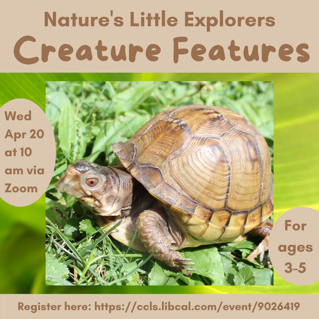 HankinLibrary's tweet photo. We still have room in our next session of Nature's Little Explorers on Wed Apr 20 at 10 am via Zoom. This month's theme is Creature Features. Register here: https://t.co/h4aRO24pQe #libraries #childrensprograms #natureprograms https://t.co/35Ib8Nqohr