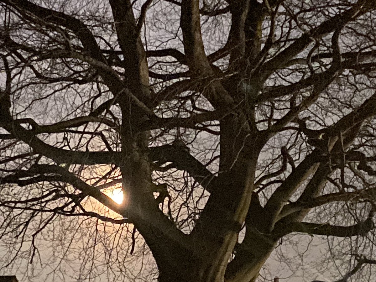 Spooky moon supervising a rice crispies supper