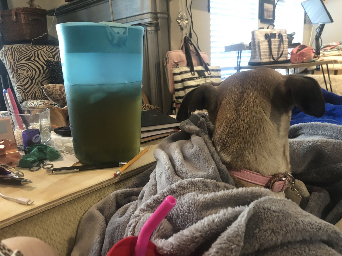 talesfromP's tweet photo. Sometimes when you’ve been stabbed in the heart, &amp; it is breaking (literally, metaphorically or both), this is the best medicine. https://t.co/rsELkghN48