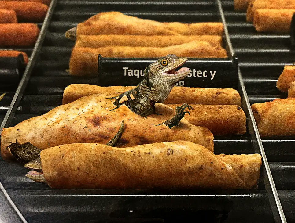 TheOnion's tweet photo. Taquitos Finally Hatch After Days Under Heat Lamp https://t.co/vIN7l5XmaN https://t.co/X93MrirUTH