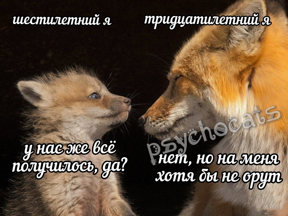 psycho__cats's tweet photo. https://t.co/70mIvpHOgJ