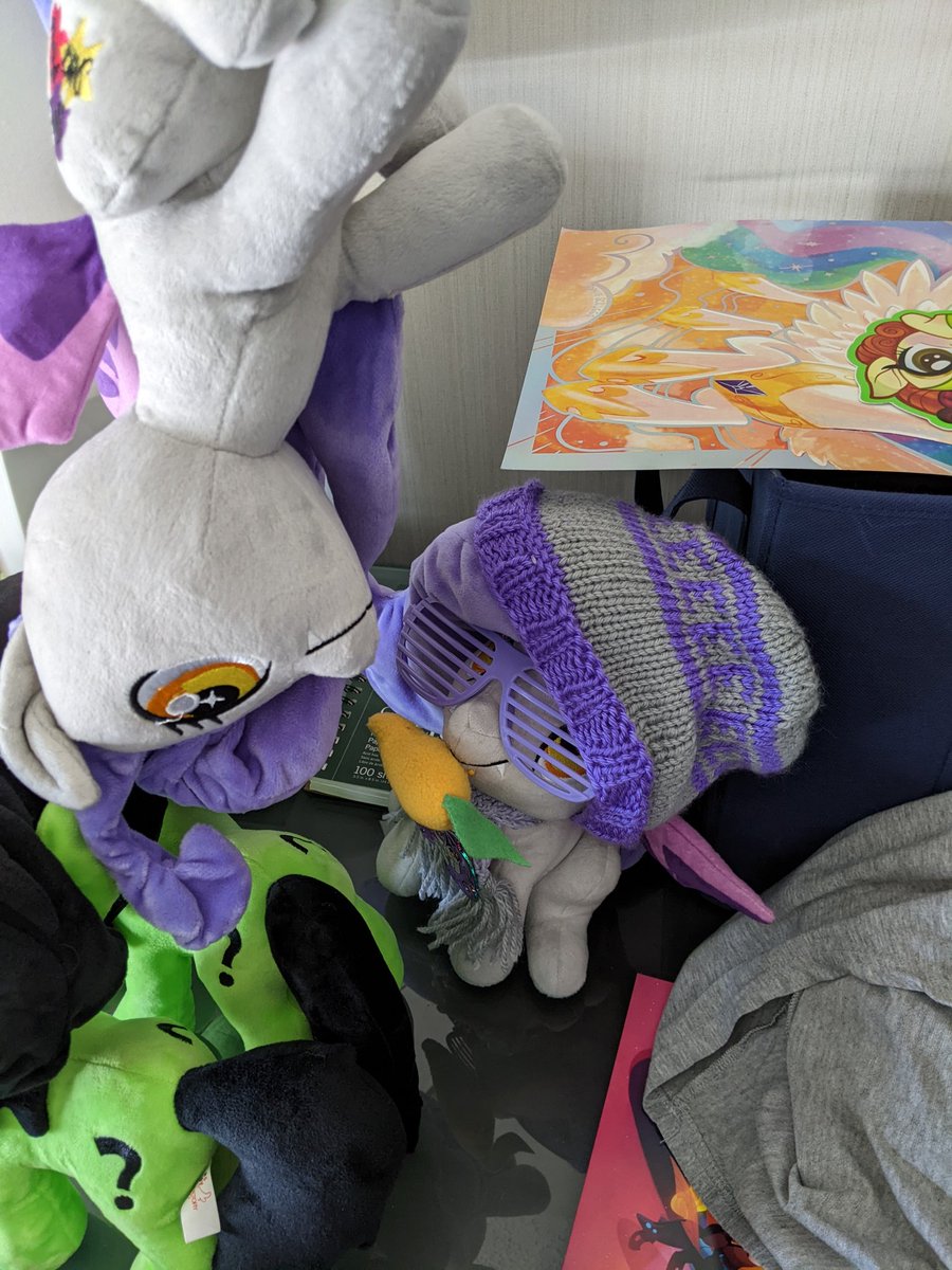 mysadbat's tweet photo. My bat is sad because her spot to hang has been taken by an interloper that looks an awful lot like her and what will she do if someone confuses the two of them and she isn't the most important bat in the room? https://t.co/TD7JgFOnOa
