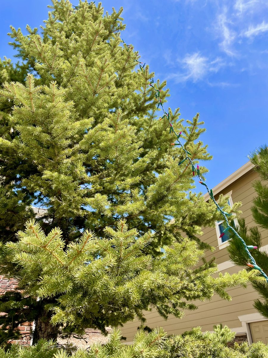 Santos Franco tweet media