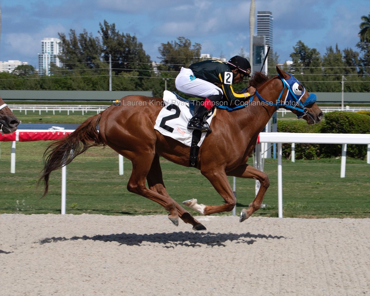 #16Apr <a href="/sanoracing/">Antonio Sano</a>’s Birdman Richie, with <a href="/romeronlsa/">Romero Maragh</a> rallies from the back of the pack to upset race 6 at #GulfstreamPark

Thanks and congratulations to owner <a href="/OmakaseRacing/">OMAKASE RACING STABLES</a> 

 1️⃣ first victory for trainer Antonio Sano #RoyalPalmMeet 2022 

📸 <a href="/coglianesephoto/">Coglianese Photos</a>