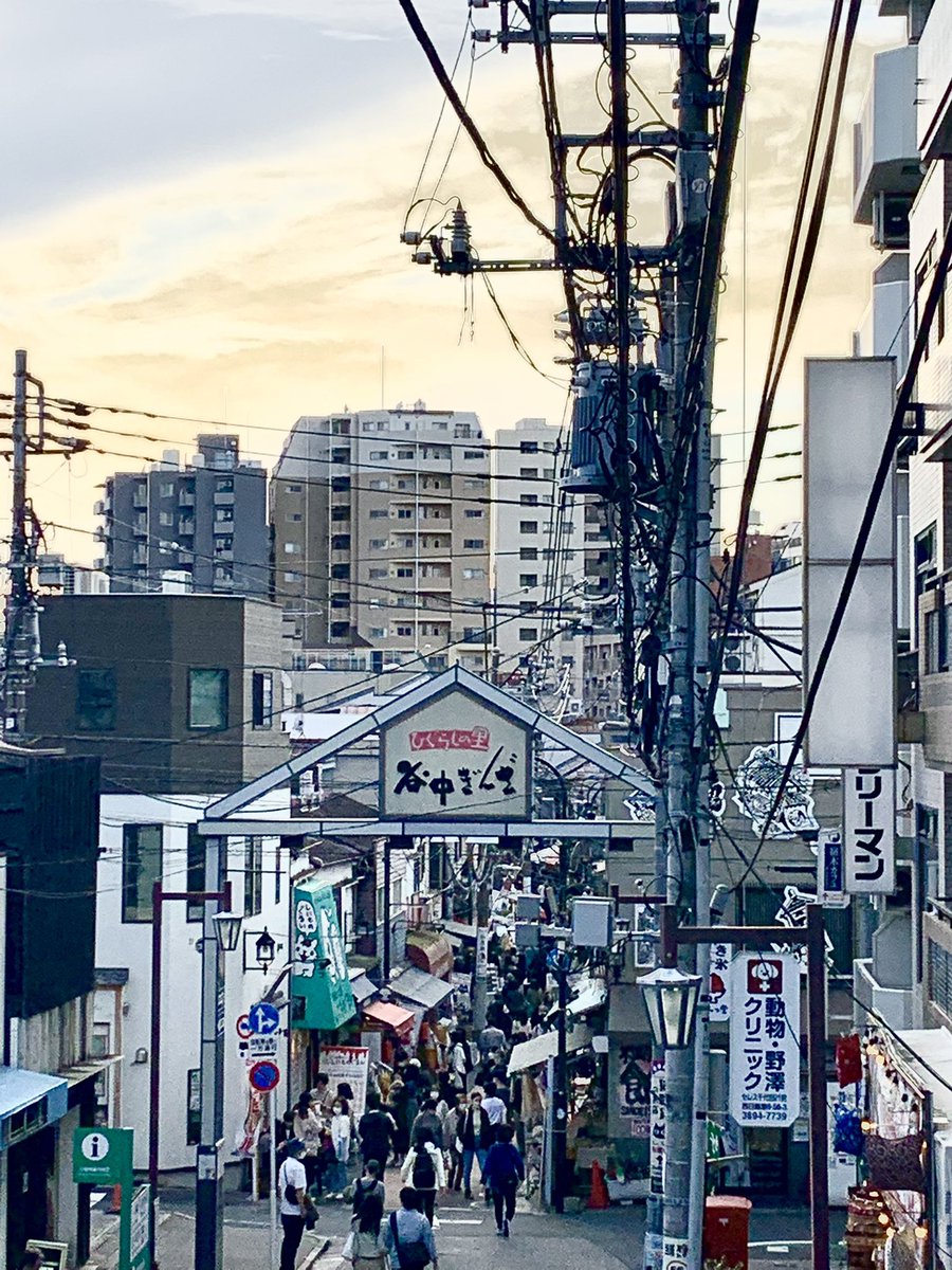 Toshipilol's tweet photo. 昨日はいい天気で急遽思い立ち、根津周辺でお散歩。根津神社ではちょうどつつじ祭りが開催中でした。目に鮮やかなつつじがたくさん！帰りは谷中を通って下町気分を味わいながらのんびり。たまにこういう休日もいいですね！ https://t.co/d0PRo6Fvrz