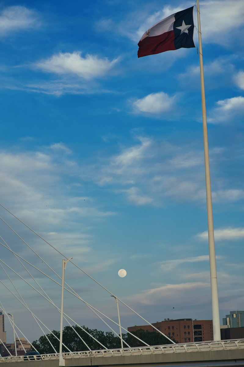 our_coulture's tweet photo. #sonya7c #85mm18 https://t.co/e7noAsLmM1