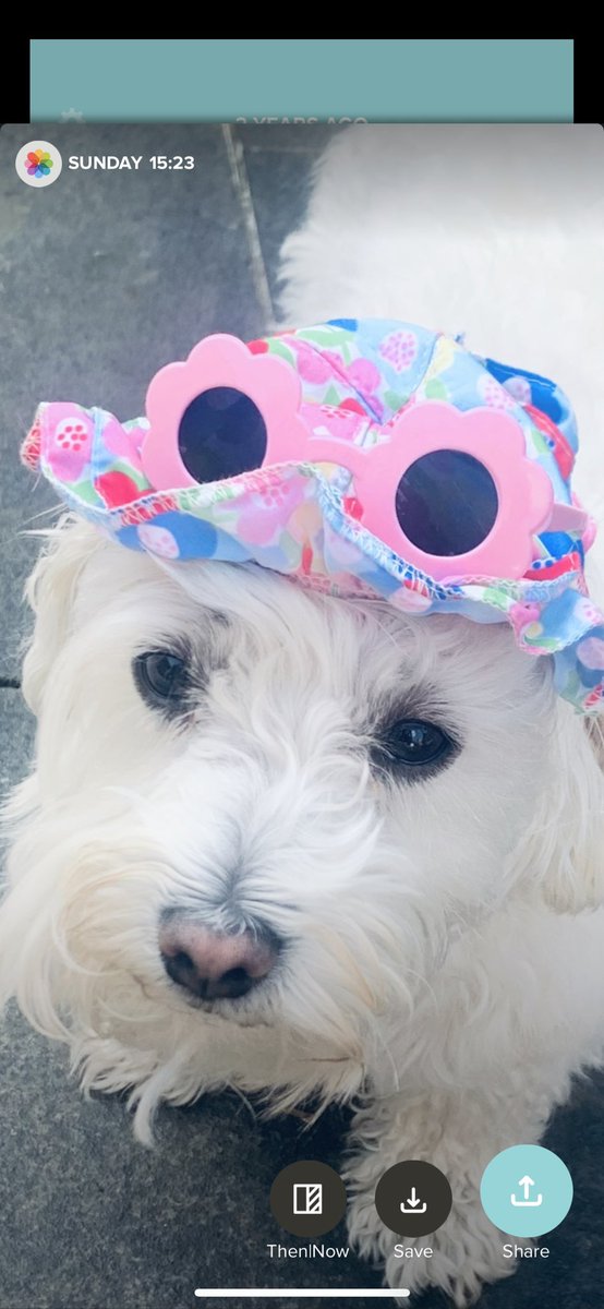 Happy Easter 🐣 #cutestlittlething