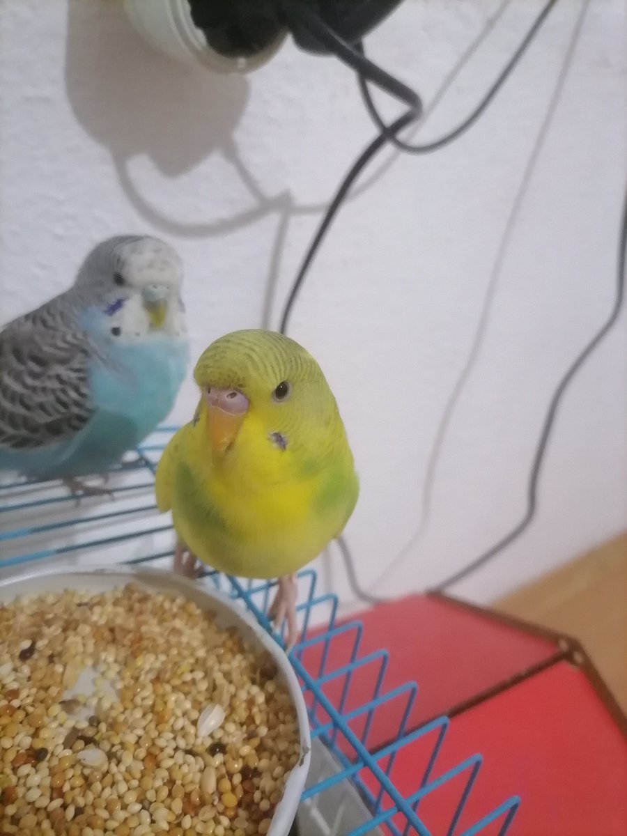 Iyı geceler arkadaslar😉