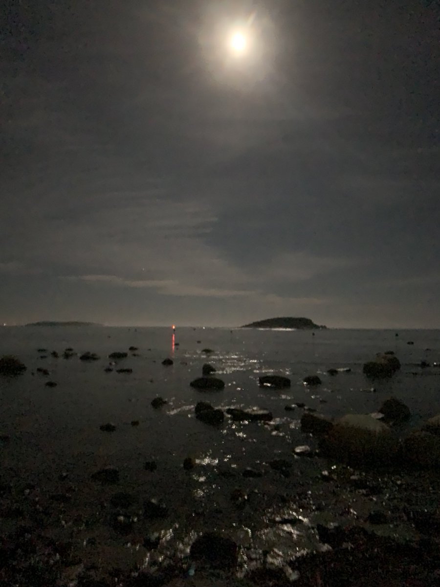 saline's tweet photo. Full moon and receding tide! A lone fishing boat. Encounter Bay. #eastermoon #fullmoon https://t.co/7fqpdHCIQV