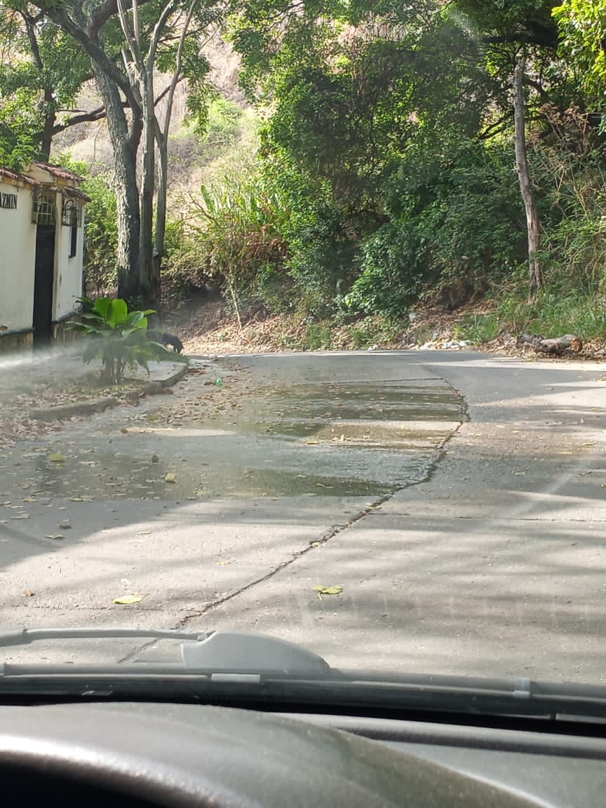 pereznadia's tweet photo. @HidroCapital2 @harolclemente consejo comunal Colinas de Vista Alegre, parr El Paraíso, CCs informa que continúa bote de agua limpia ubicado en calle 15 de Vista Alegre, a pesar de que fue  intervenido  la semana pasa por cuadrillas de la hidrológica. Reporte2204169285 https://t.co/fzNhtMWVPM