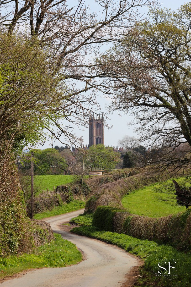 SharonFieldPho1's tweet photo. Great day for walk from Bromfield to Ludlow today surrounded by stunning countryside. 
St Laurence's Church, Ludlow seen from a country lane at Priors Halton.
#Shropshire #Ludlow https://t.co/SDde0rwYqP