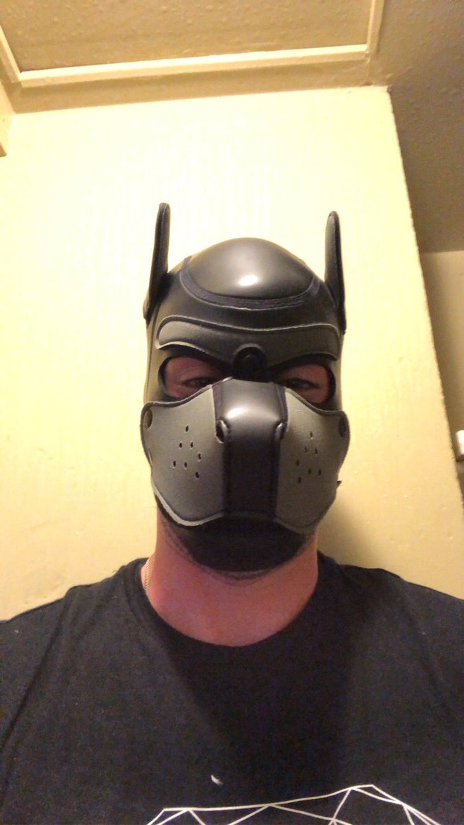 Hermaeon's tweet photo. Whatโs up everyone?? #GayPup #PupPlay #PupFetish #GayFetish #LGBTQ #2SLGBTQplus https://t.co/LTApmM8aZz