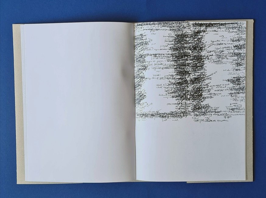 Joe Devlin tweet media