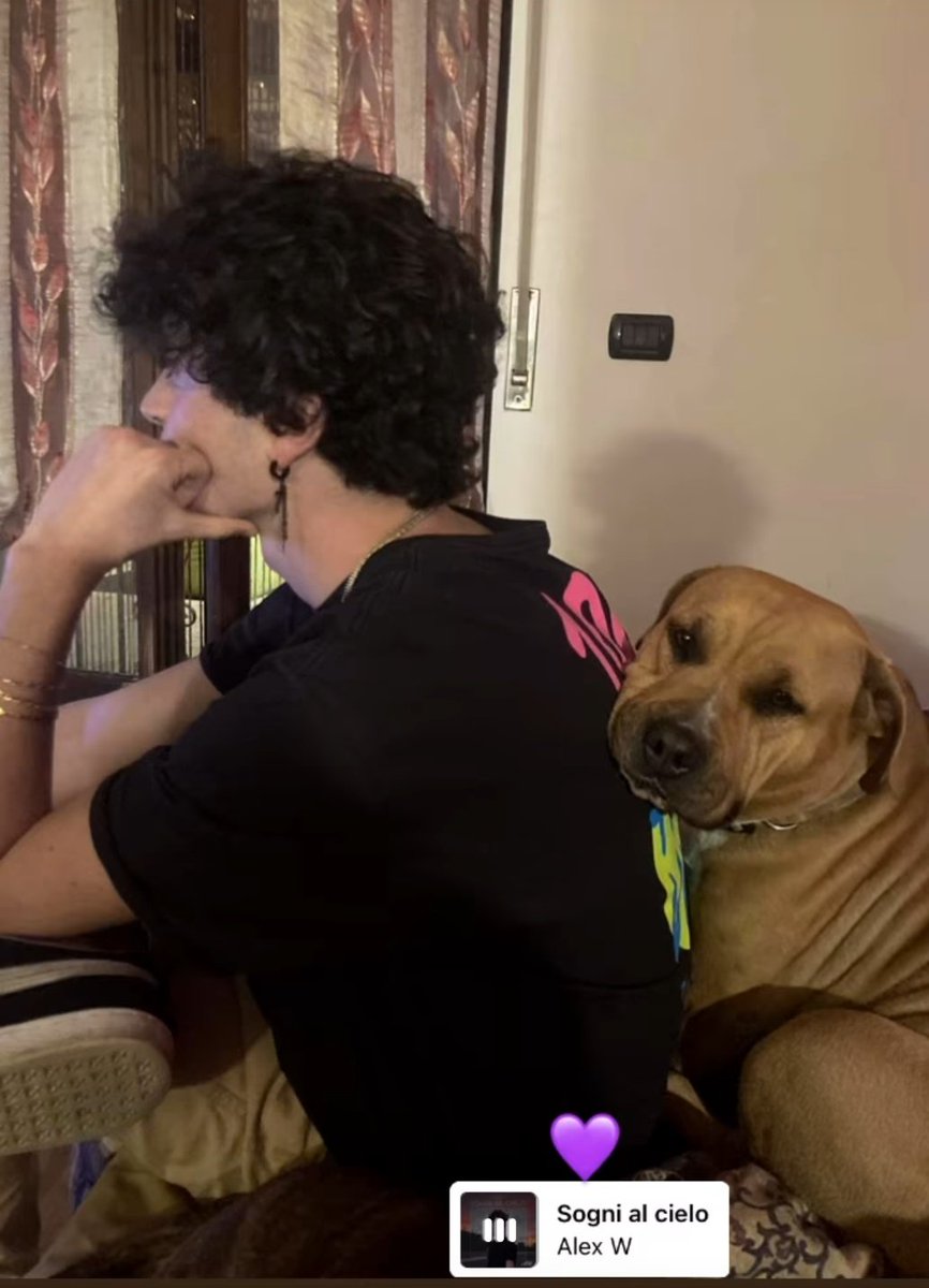 Bidibibodibibou's tweet photo. Nulla da aggiungere #amici21 #zenzonelli https://t.co/7sNreyvUeQ