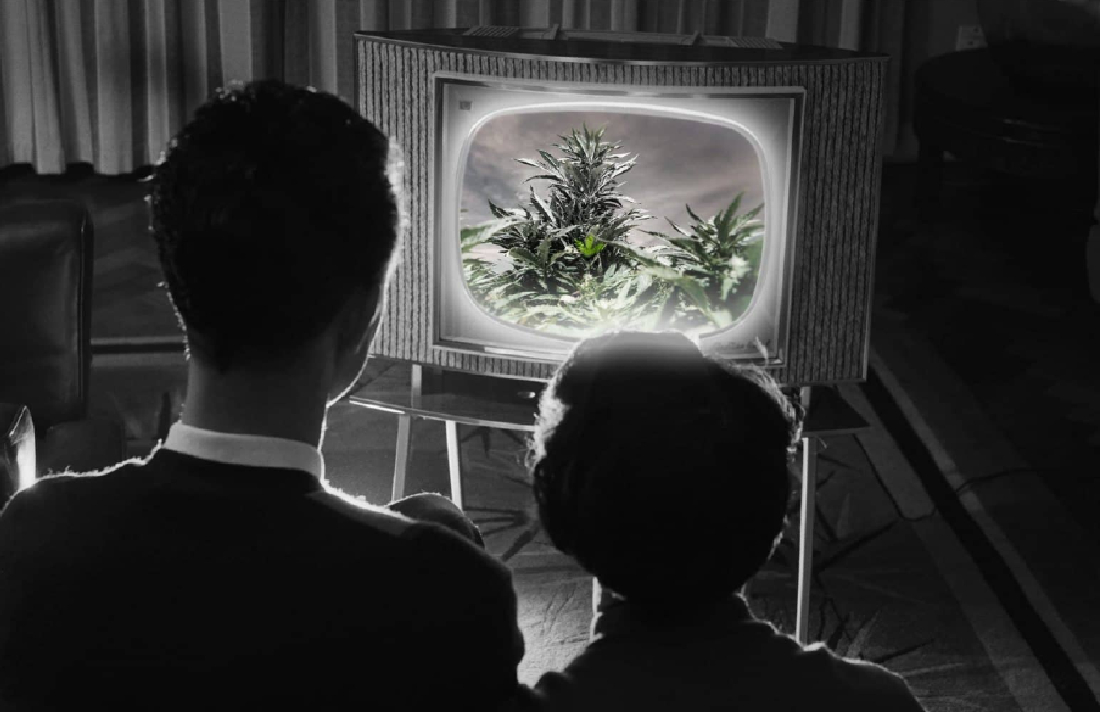 CannabisCulture's tweet photo. The 20 Best Films To Celebrate 420 With On April 20 #movies #TV #entertainment #fun #lifestyle https://t.co/GUiUJ6LNdw https://t.co/W7mVYtwW2F
