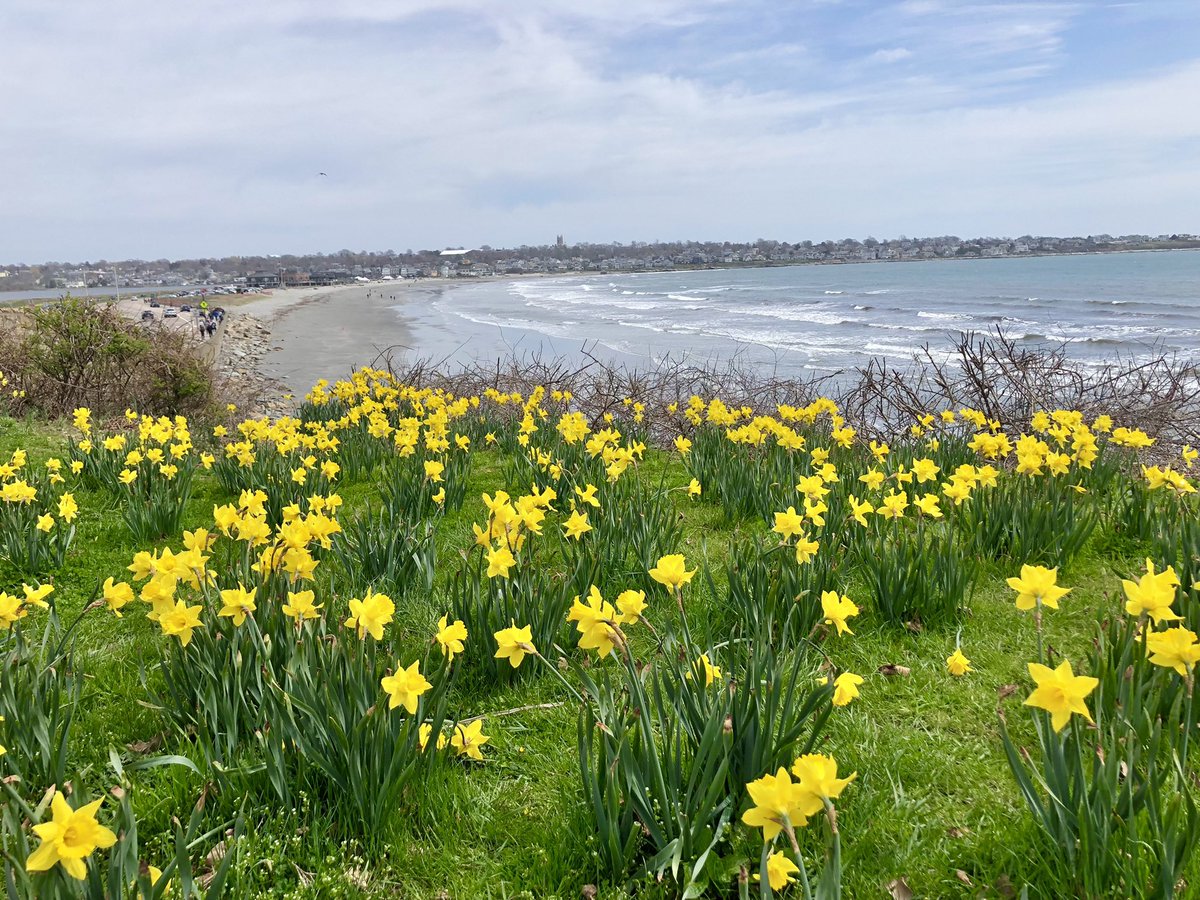 Emjay1028's tweet photo. Didn’t hit my goal time but did get a course PR today at the #RhodeRaces #NewportHalfMarathon! A little windy but otherwise great #running weather! #ViewFromMorningRun #Newport #RI @RaceTheRhode https://t.co/W95QF9zJgO