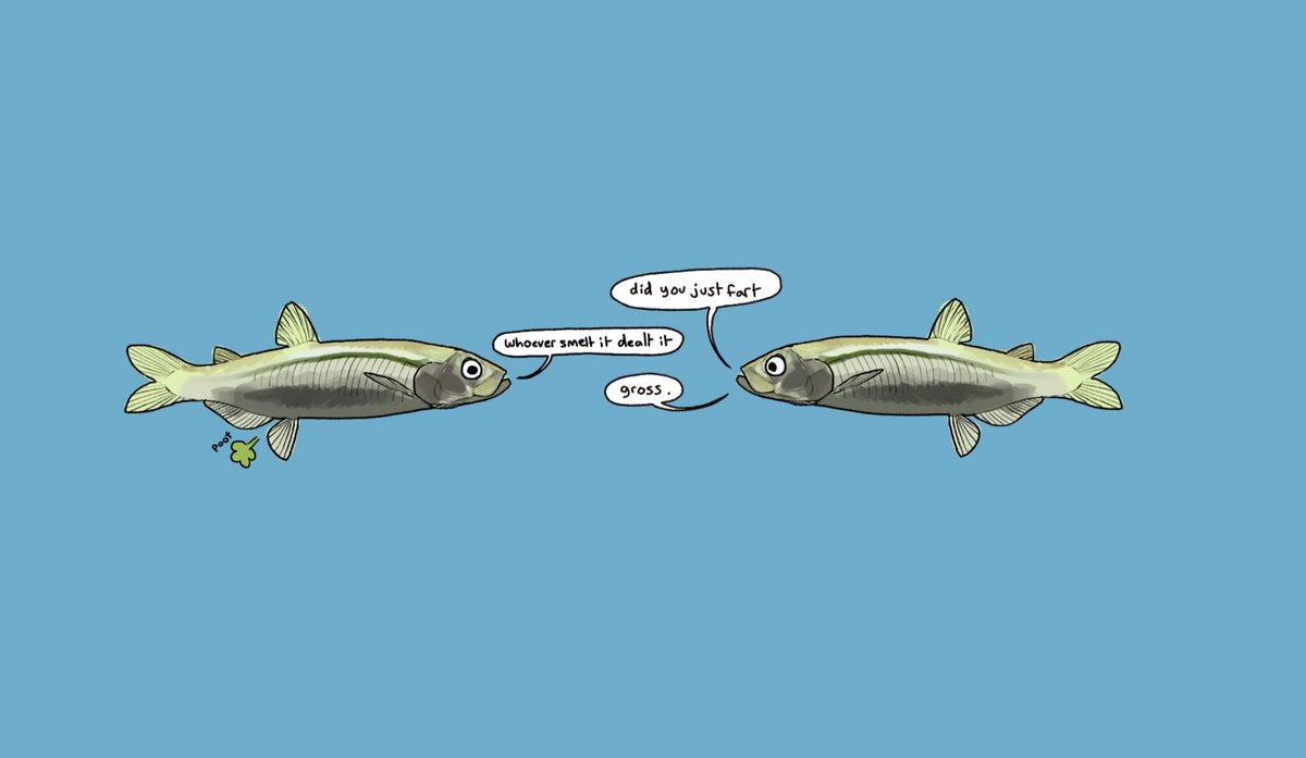 The astonishing superpowers of nature's most unloved animals | National  Geographic, image size:1200x697