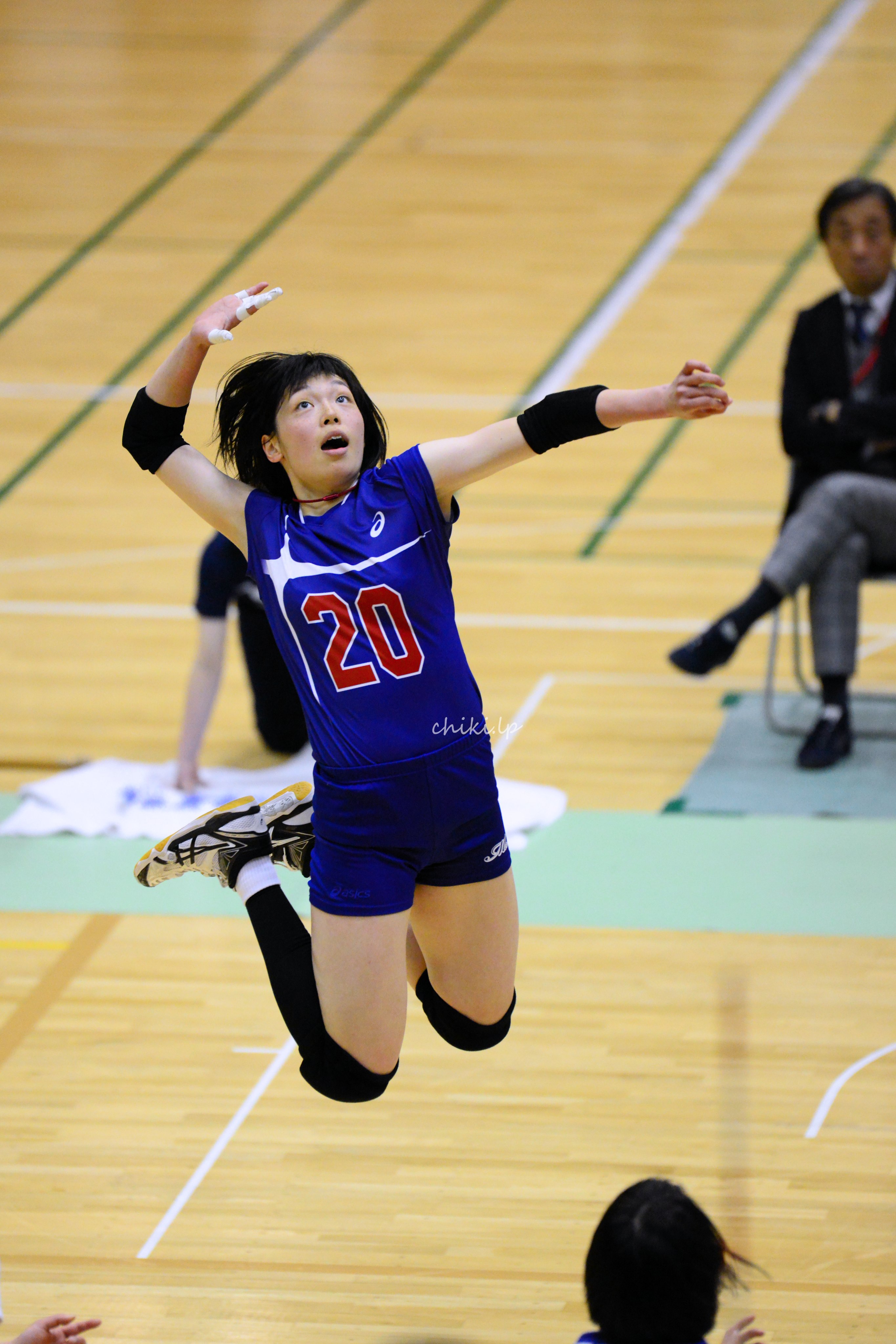 全日本男子・女子バレー選手直筆サイン入クリアファイル Amazon.co.jp: バレーボール クリアファイル 男子バレー Vリーグ