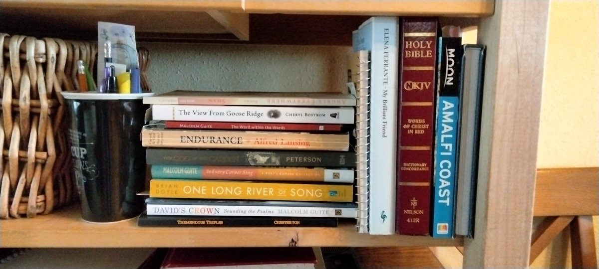 JodyoCollins's tweet photo. When your bookshelf real estate is reduced by 95%, you have to be very, very careful about which books you absolutely must have on hand. #poetry #Bible #Italy @malcolmguite #BrianDoyle #housepainting #sobasicallyyoumoveout https://t.co/WRsTFCSEsF