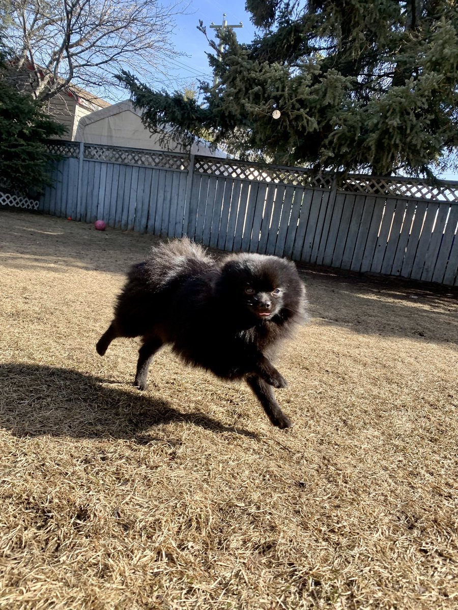 BarkinghamFSJ's tweet photo. Steve is offended but not surprised https://t.co/TE8eYB2YTh