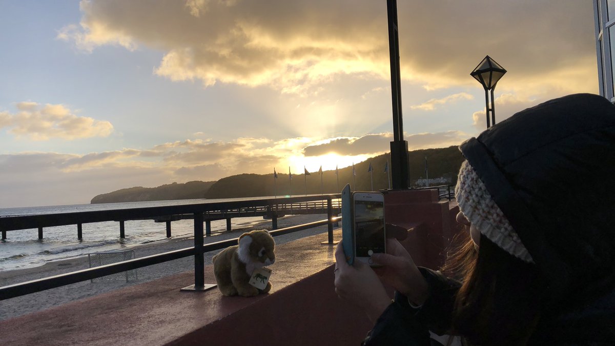 Melanie 🐯 tweet media