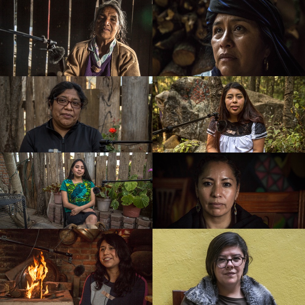 Han pasado 11 años desde que en #Cherán se le puso fin a la destrucción del bosque a manos de la violencia organizada. En este #podcast se cuenta la historia de lucha de la comunidad a través de la voz de sus protagonistas, las #MujeresDeFuego 
audible.com/pd/Mujeres-de-…
#Michoacán