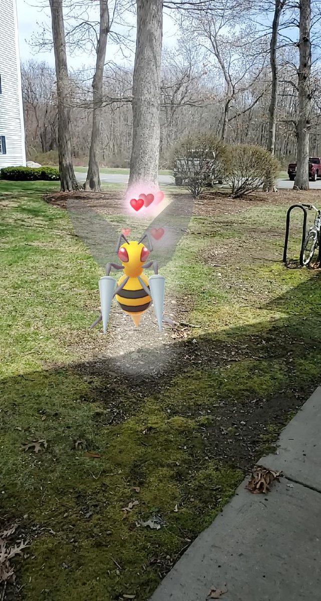 BlackUniGryphon's tweet photo. My #Beedril #GoSnapshot #PokemonGo 
Don't know why, but I kinda really like #Pokémon #Bugs for some reason. 🤔 😅 🐛 🪲 🐞 https://t.co/nWeXmokO3J