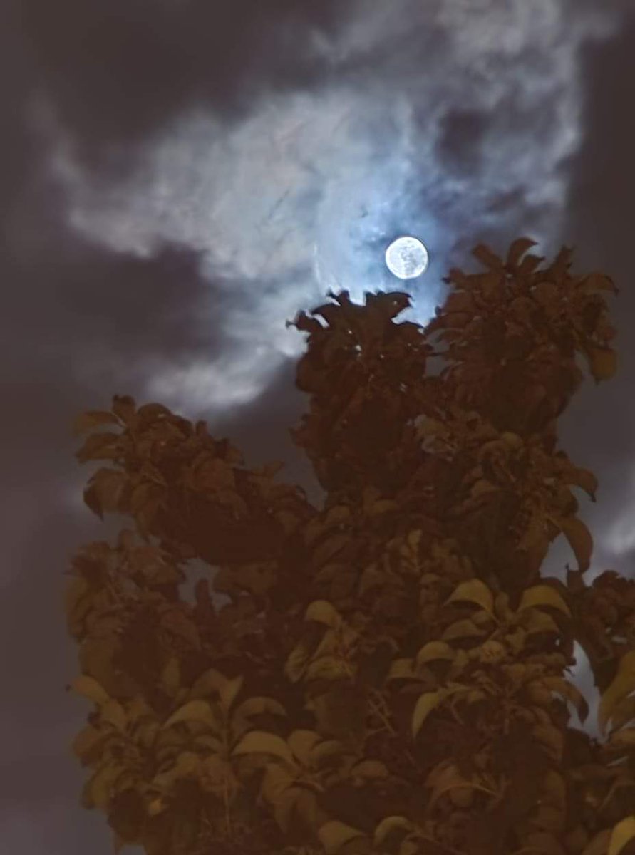 fugs61's tweet photo. @guingonabart Ito ang totoong tadhana na change is coming, Pink full moon on Holy Saturday 🌕 #LetLeniLead2022 ipanalo natin to! 👍 https://t.co/f2AqhAg9gf