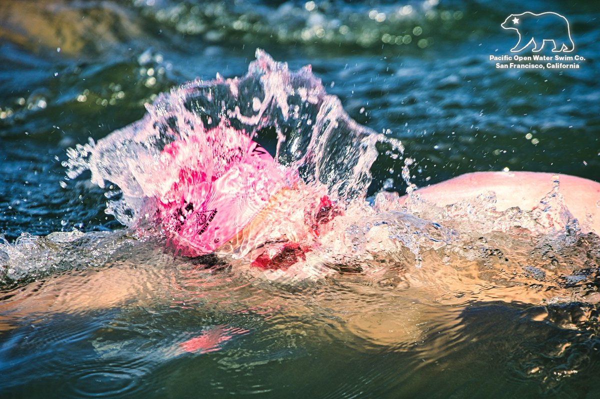 Lauren Lesyna on a recent 4-hr training swim… It’s amazing what a camera can capture and the eye doesn’t see in real time. 💖🌊 52° Water. 

#SwimSF #openwaterswimming #openwaterswimmer #marathonswimmer #marathonswimming @dolphinclubsf