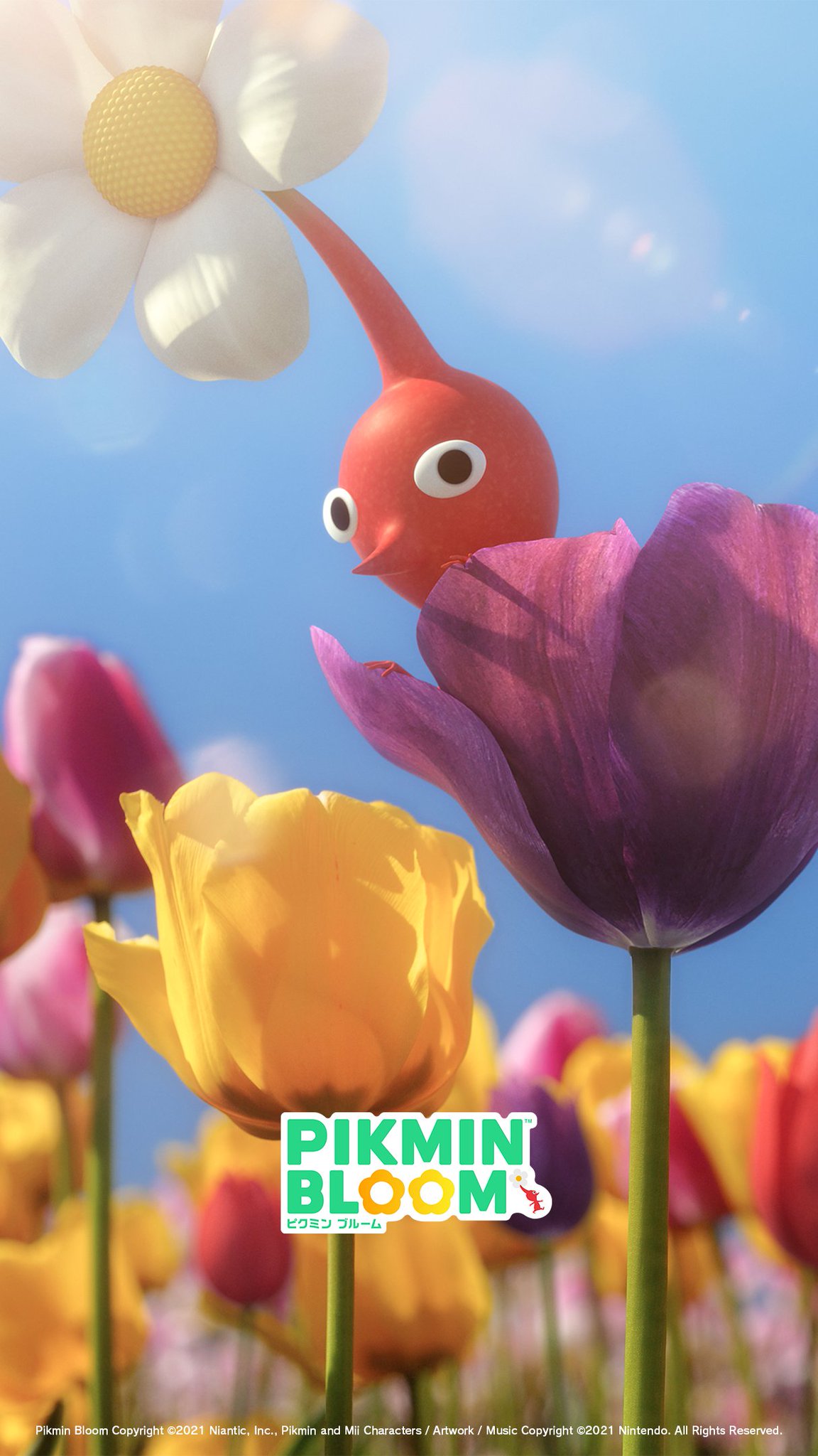 Pikmin Bloom Japan たくさんのrtありがとうございました みなさんのおかげで 500rt を達成しました イースターエッグの中に入っていたのは ピクミン の壁紙でした ぜひdlしておつかいください ピクミンブルーム T Co Ly2j6v5kzm