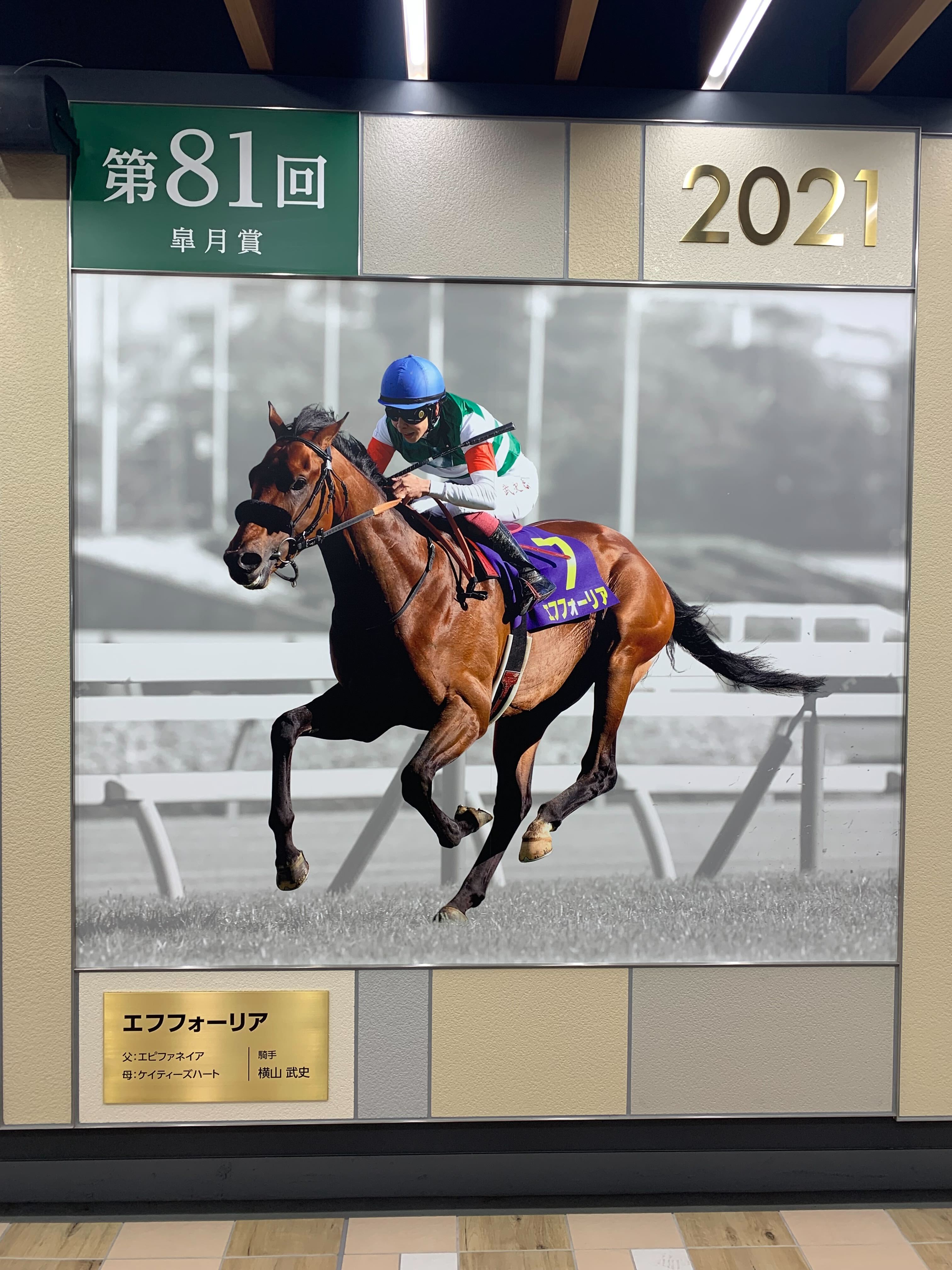 人気ファッション - JRA 中山競馬場 おうまさんイヤーマフ（鹿毛