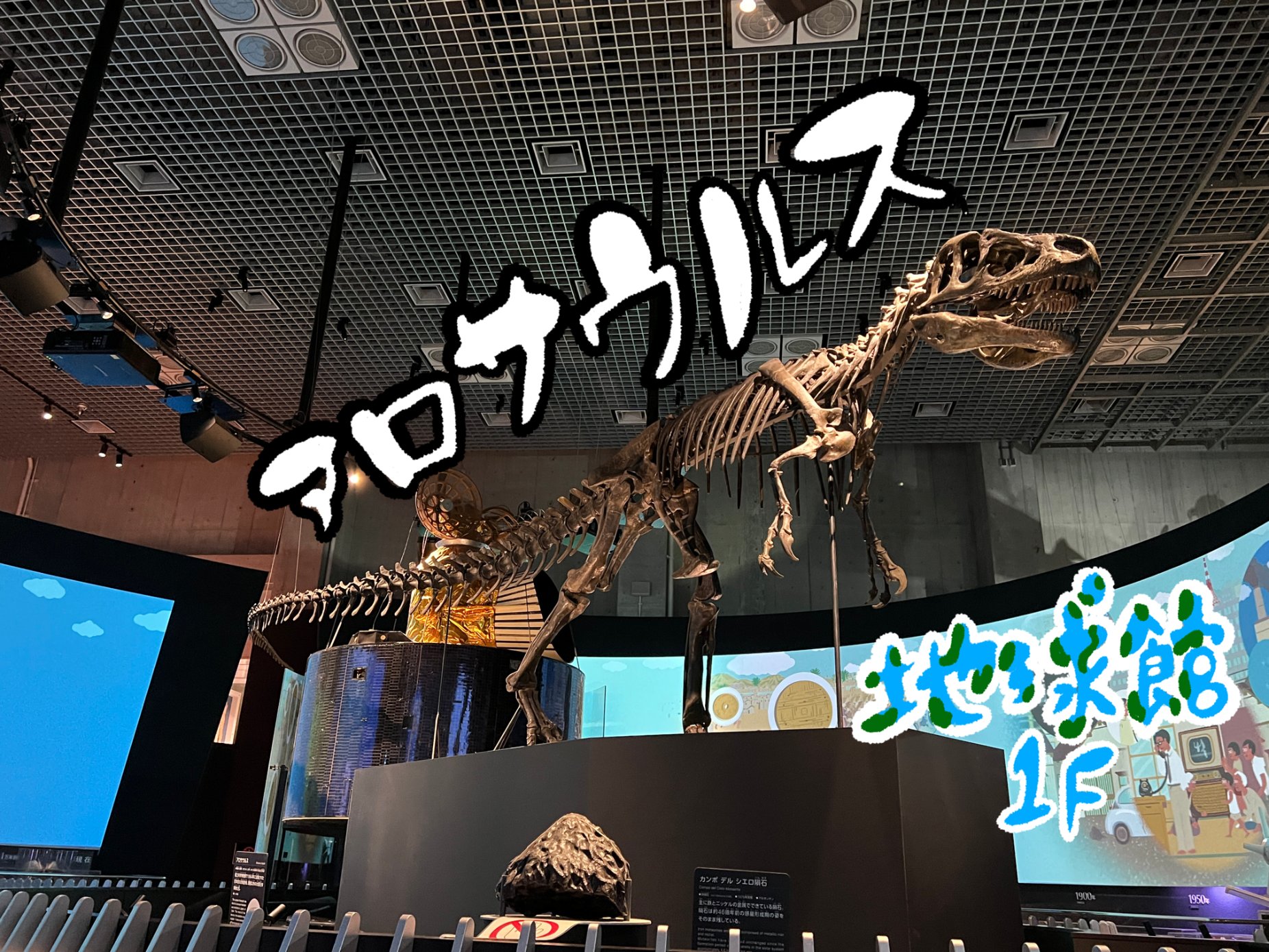 盾の国の建物(生物体) 古生物の世界 | アンフィ合同会社