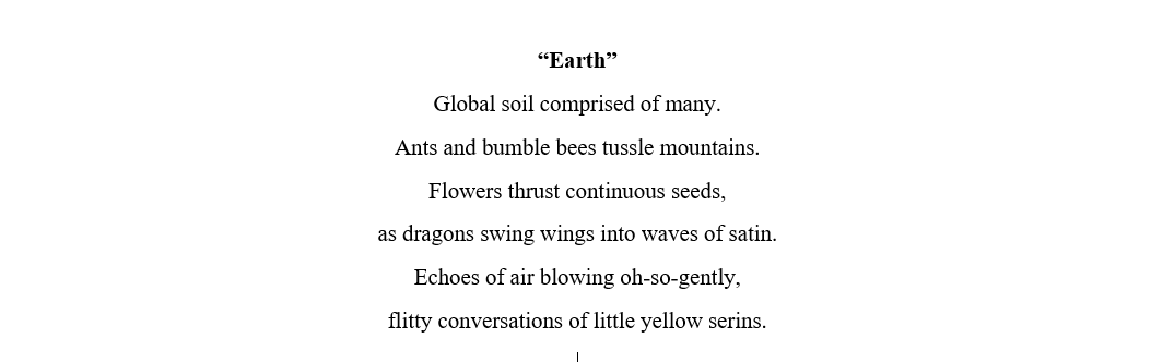 CharliWriter's tweet image. The poem is now about eight pages long. #poem #editedversion #stillwillwritemore #earth #poetry