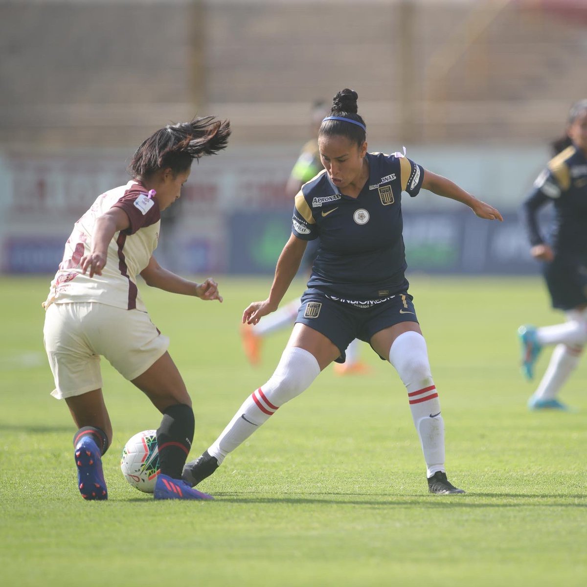 zonafutbolpe's tweet photo. 📸[POSTALES] 
#AlianzaLima ratificó su nivel y demostró que es el actual campeón de fútbol femenino del Perú, tras llevarse el clásico ante Universitario🏆

Vía: Carlos Guerrero / Zona Fútbol https://t.co/qrFM4w1YHP