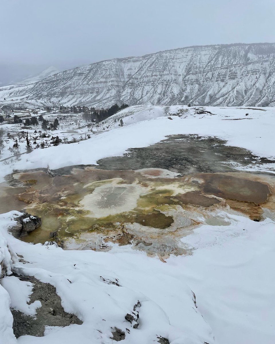 Susan Merel (@susanmerel) on Twitter photo Back to traveling the region teaching #meded with a stop in Yellowstone with <a href="/andrea_sylvie/">Andrea S. Christopher, MD, MPH</a>! Back to traveling the region teaching #meded with a stop in Yellowstone with <a href="/andrea_sylvie/">Andrea S. Christopher, MD, MPH</a>!
