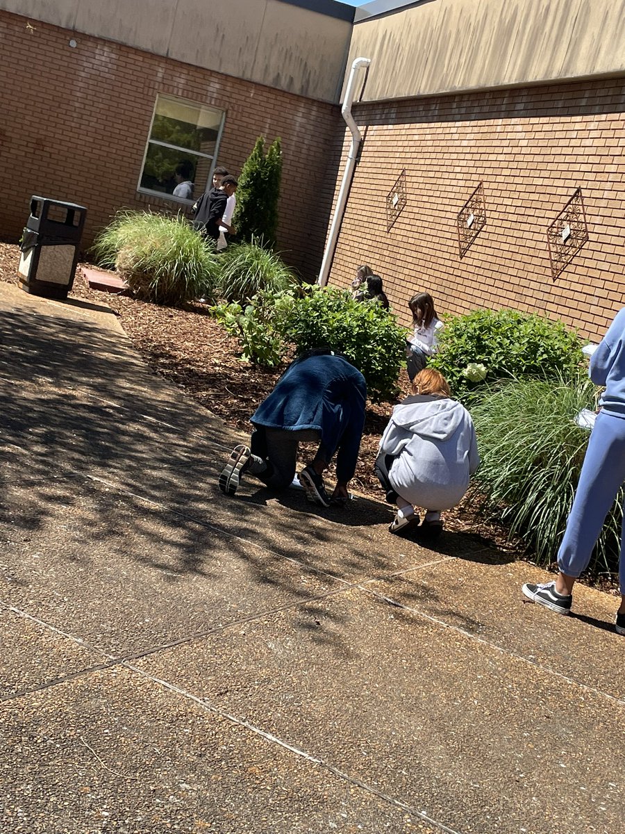 Melissa Moore tweet media