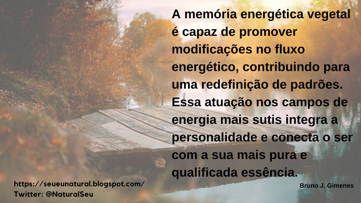 #natural #saudável #saudavel #saude #saúde #metabolismo #sernatural #naturalidade #contatocomanatureza #contatonatureza #remedionatural #energia #fome #fluxo #essência #vegetal