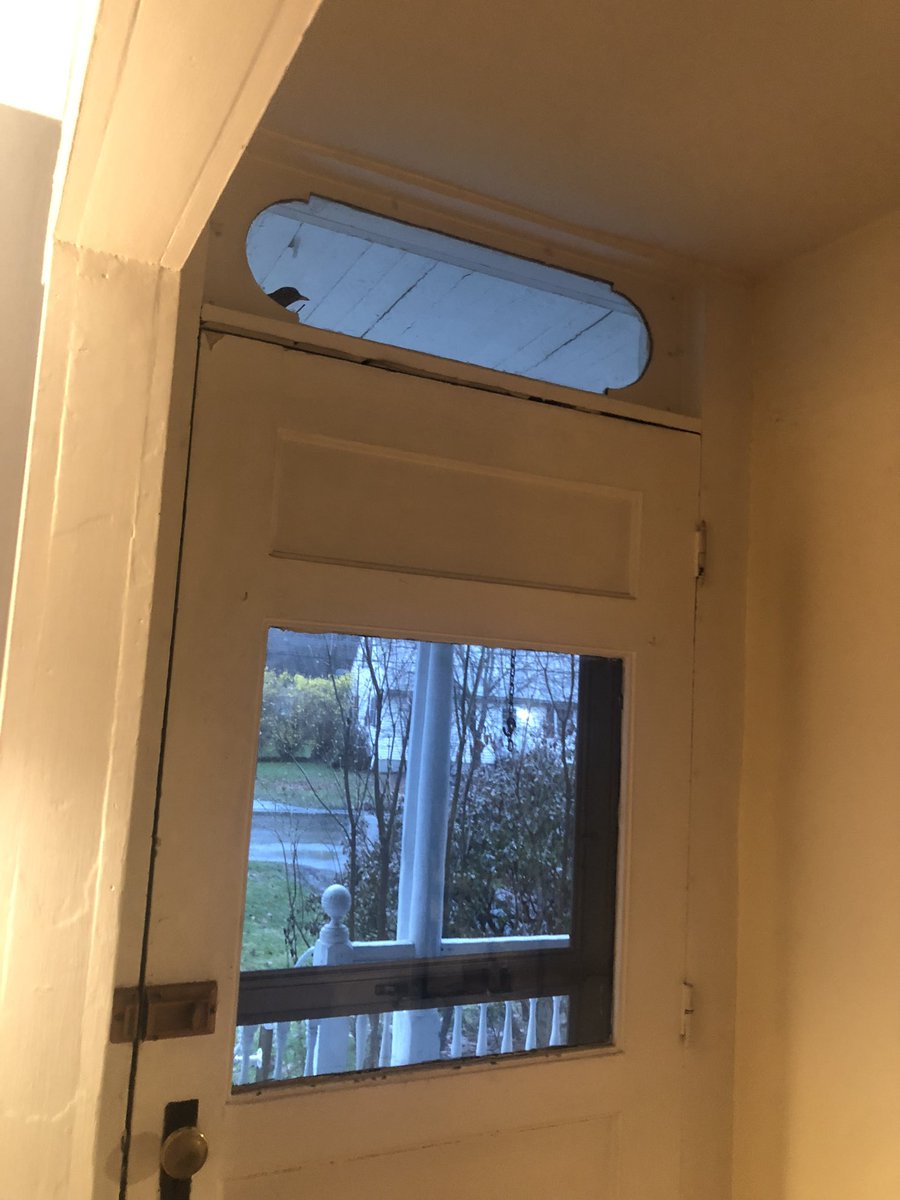 alleeleevee's tweet photo. Little bird face in the bottom right of the transom. https://t.co/7822jEMCuA