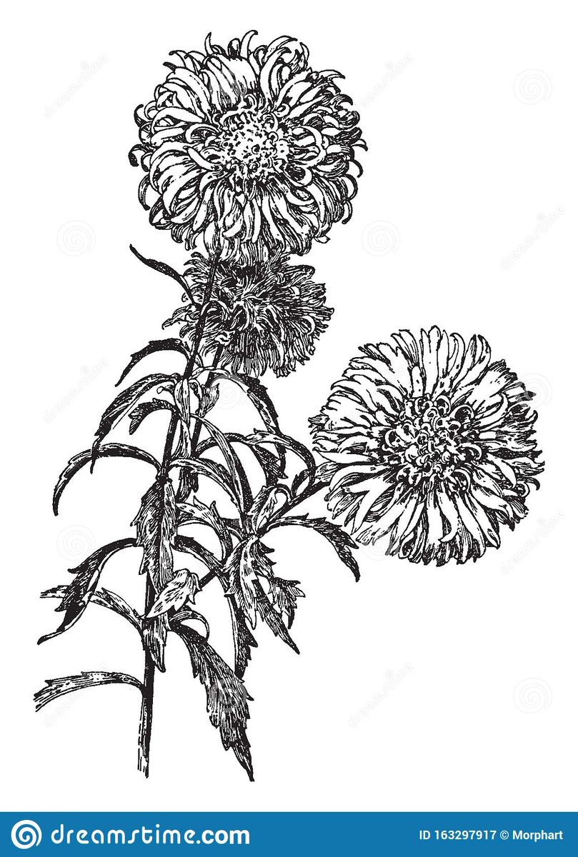 K. Colman tweet media