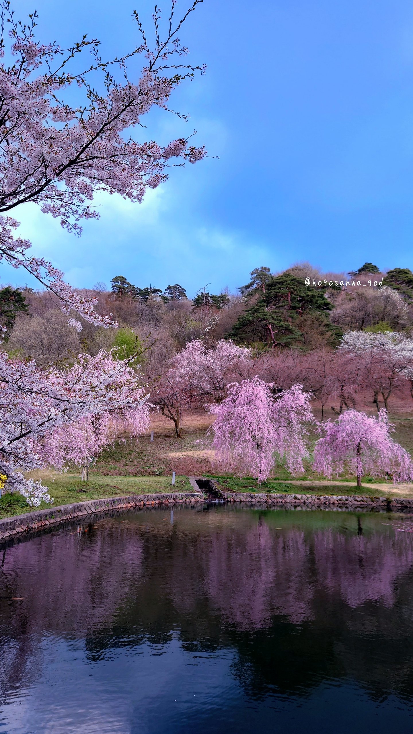 悠久山公園 Twitter Search Twitter