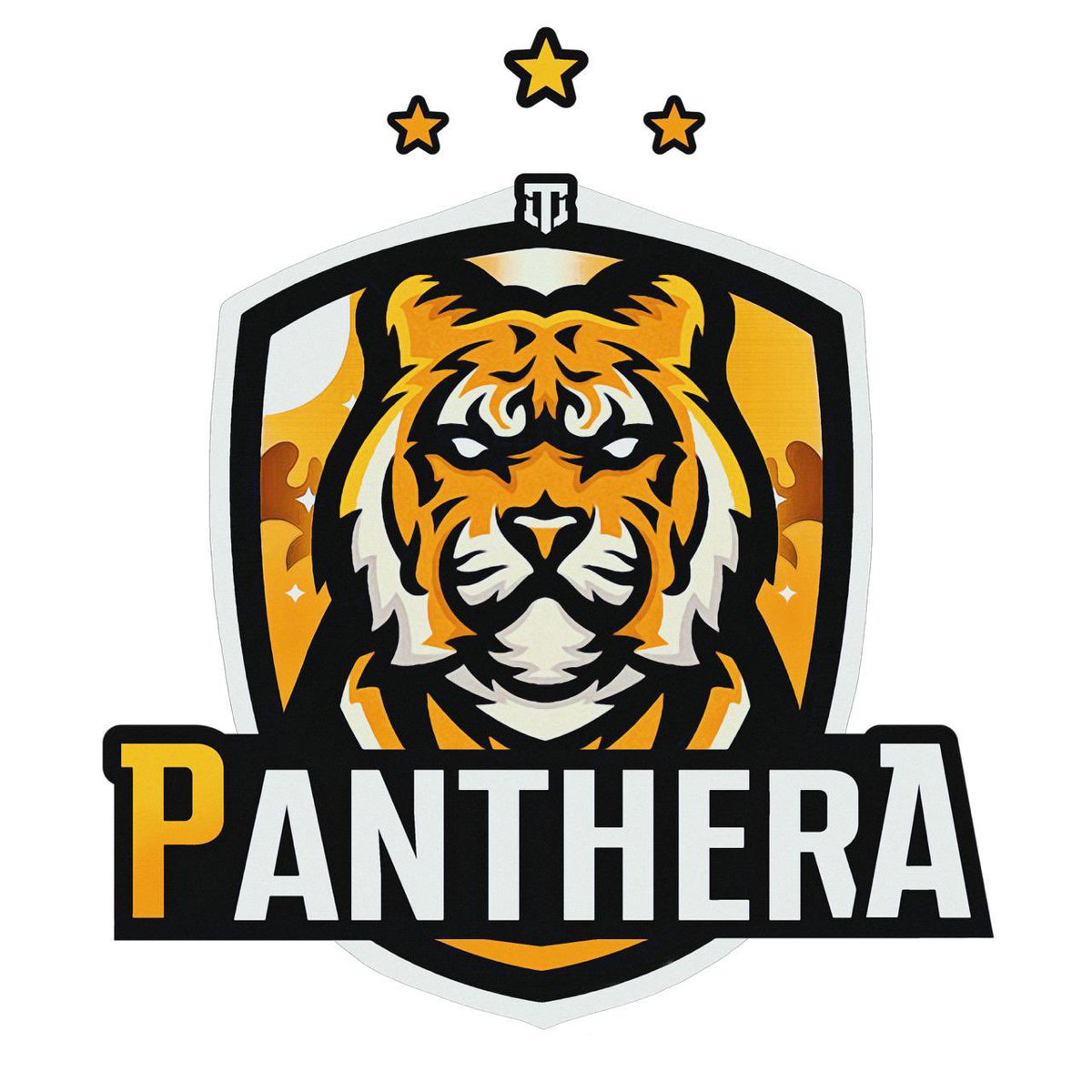 PANTHERA_FC's tweet photo. @CupArabian @PlayersHous @ProClub_A P A N T H E R A https://t.co/fL7X5zPBDK