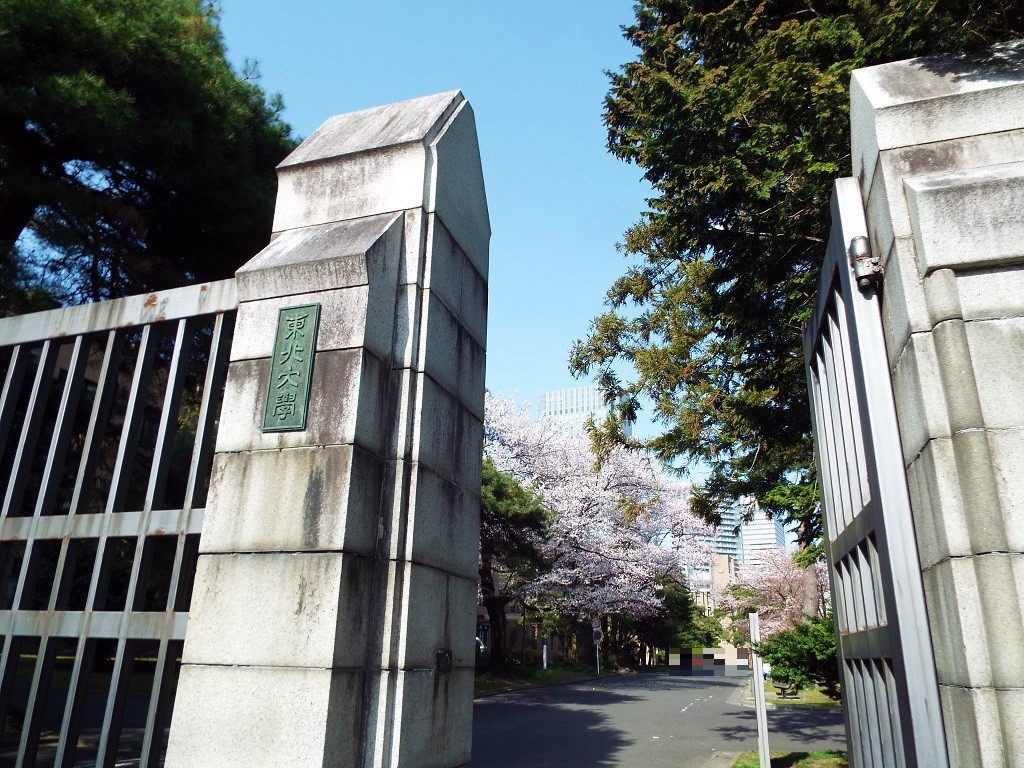 前回に引き続き、やって来ました東北大学🌸🏫🚶 わ～～～！！！ 校内の桜が、とっても綺麗ですねー🌸😆🌸 魯迅先生も、お出迎えくださり🗿🙇💕 素敵な風景が、観られました✨🏫🌸🏢🍀✨ この場所に出逢