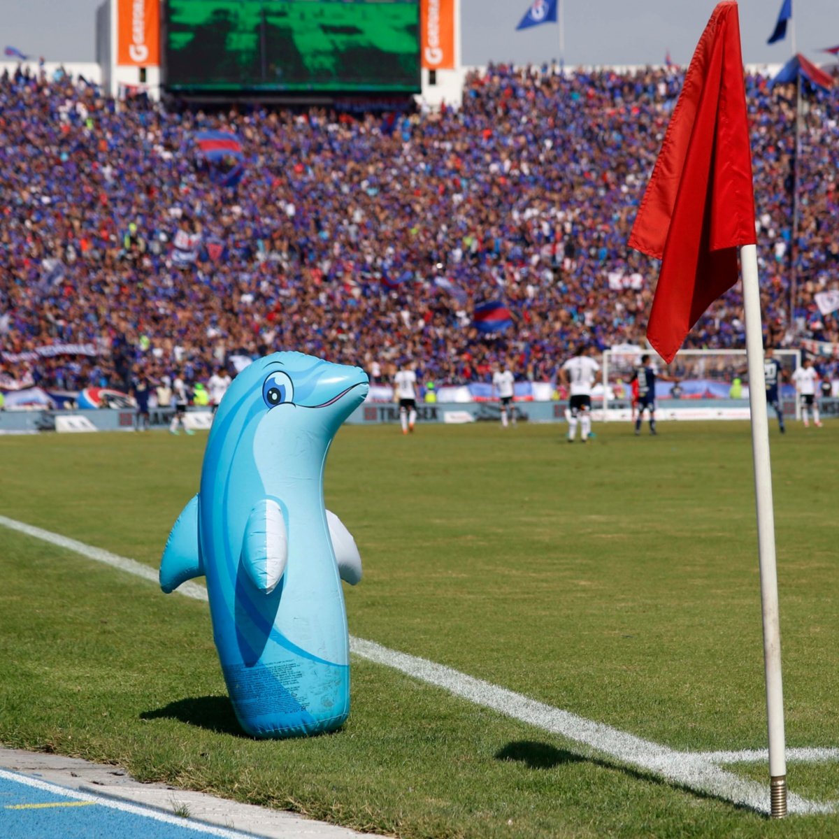 Mercado_Humo's tweet photo. Teorías sobre en que minuto la U se fue a la real chucha.

Delfín en el clásico https://t.co/OrYBdJNceV