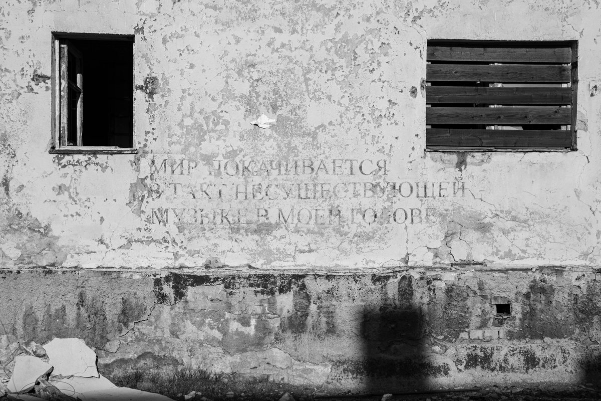 RequiemForHappiness🕸 tweet media